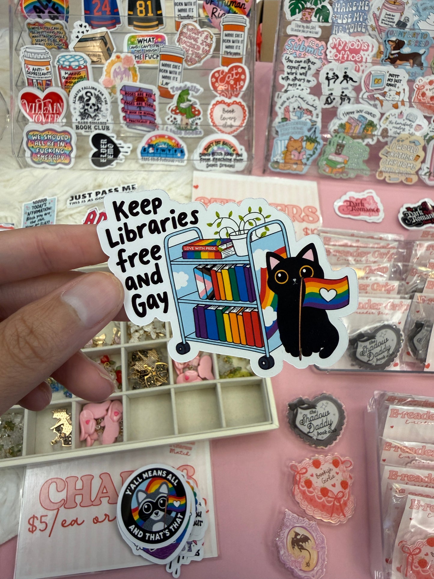 Keep Libraries Free and Gay Sticker