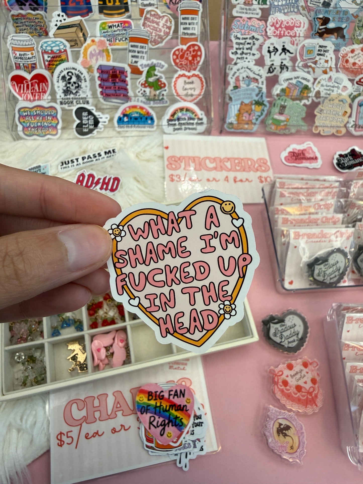 What a Shame I’m Fucked Up in the Head Sticker